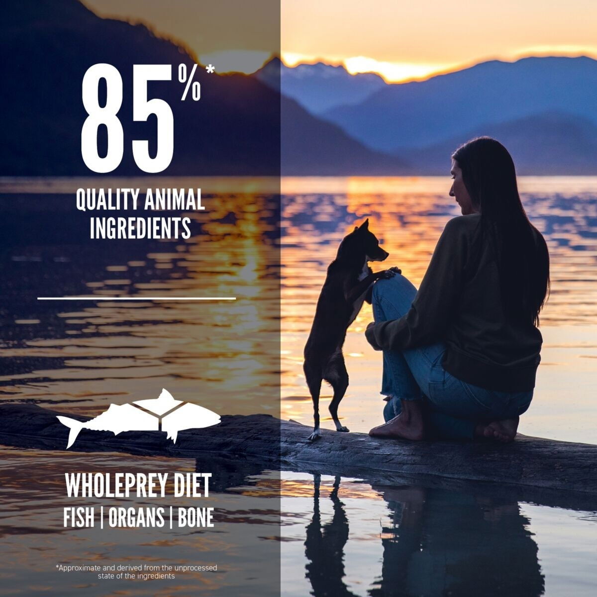 Orijen Dog Small Breed Marine Fish