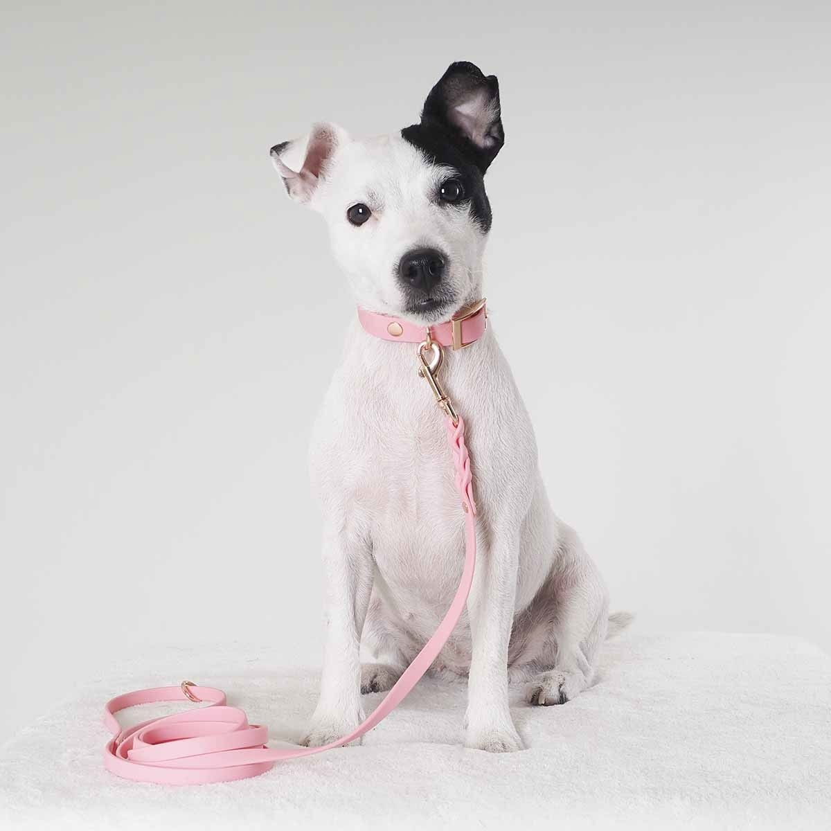 Tyylivoitto Braid leash, light pink