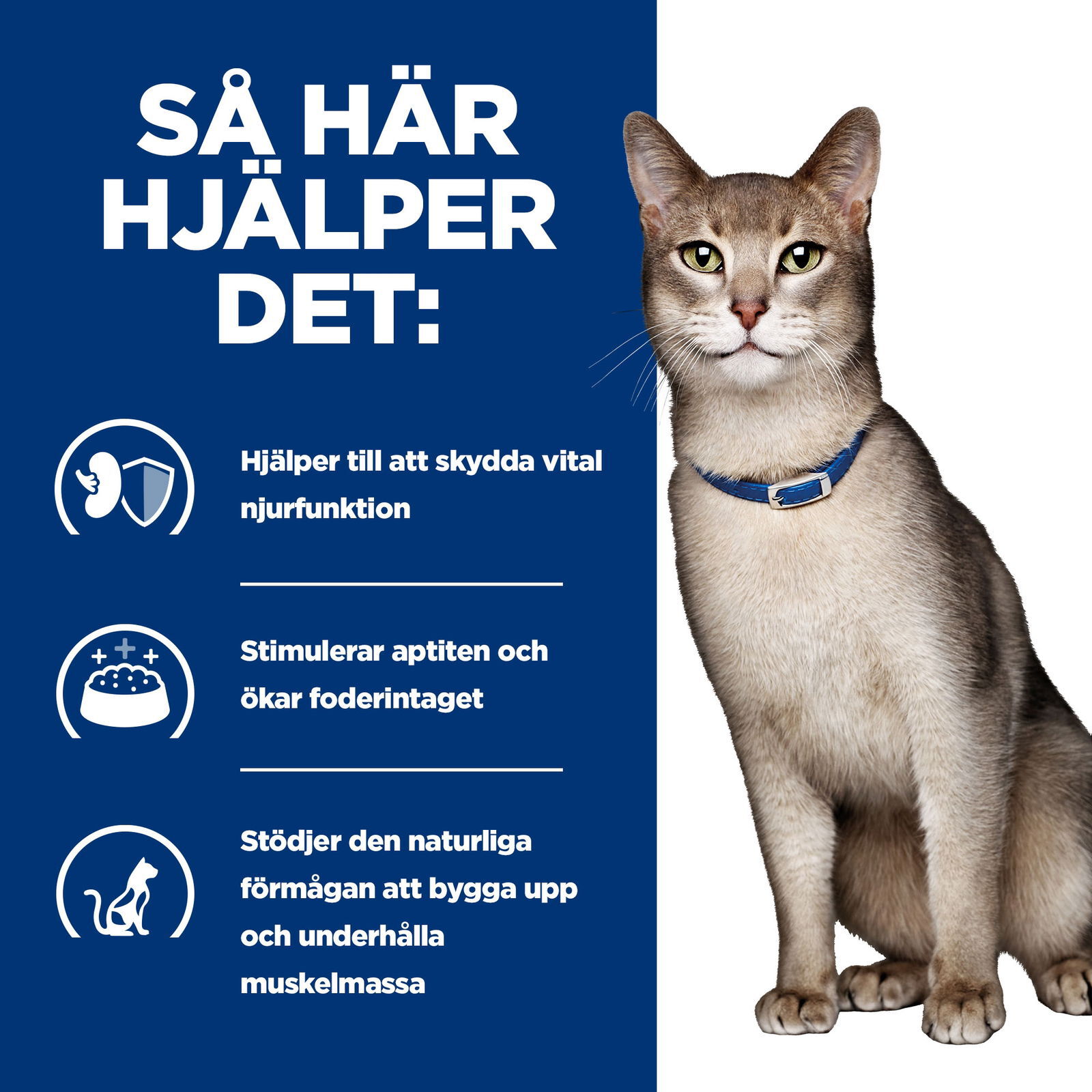 Hills Diet Cat k/d Beef Portionspåse 12x85g