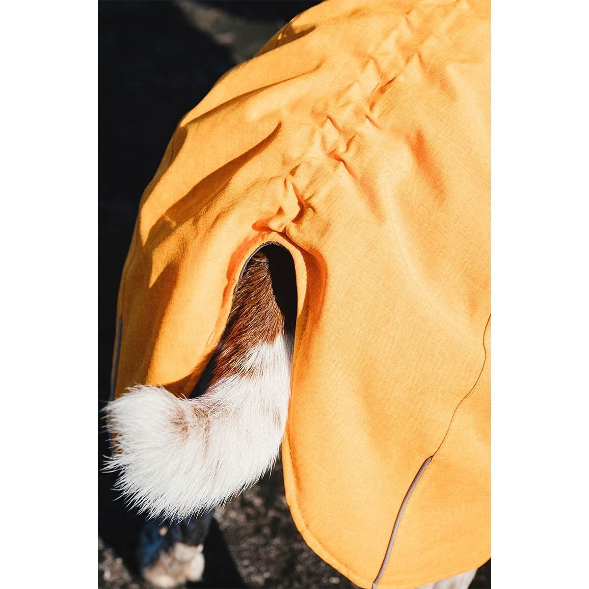 Hurtta Expedition Parka buckthorn