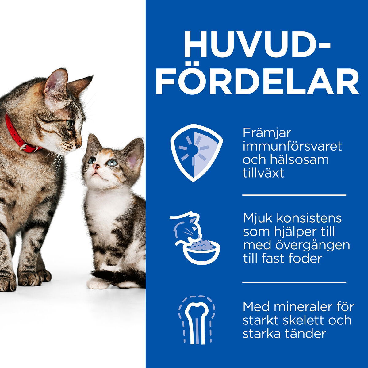 Hill's SP Feline & Kitten Tender Mousse 85g