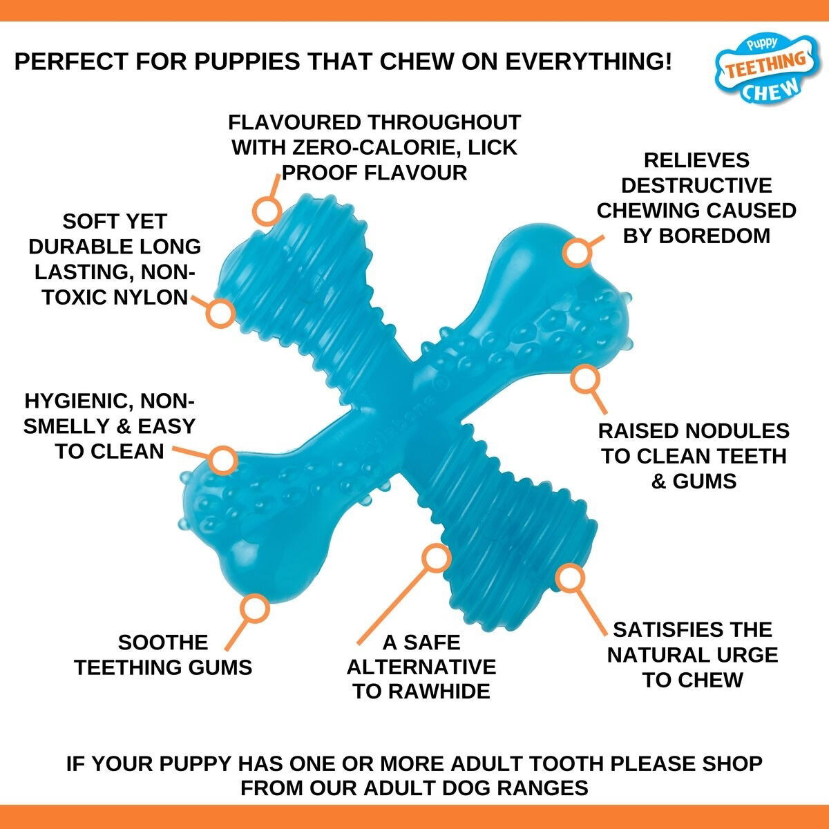 Nylabone Puppy Teething X Bone Beef XS