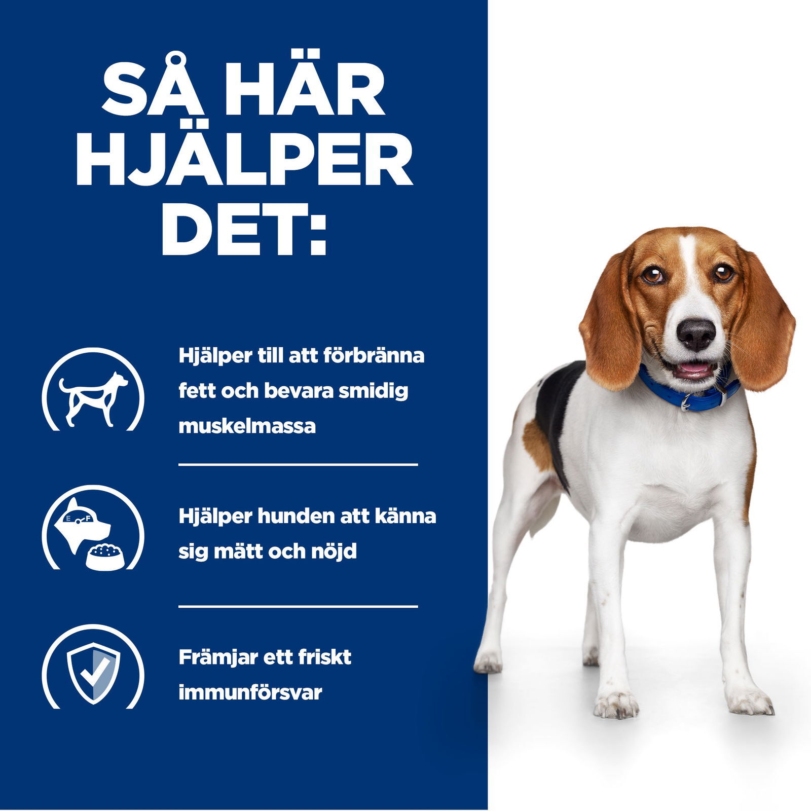 Hills Diet Dog r/d