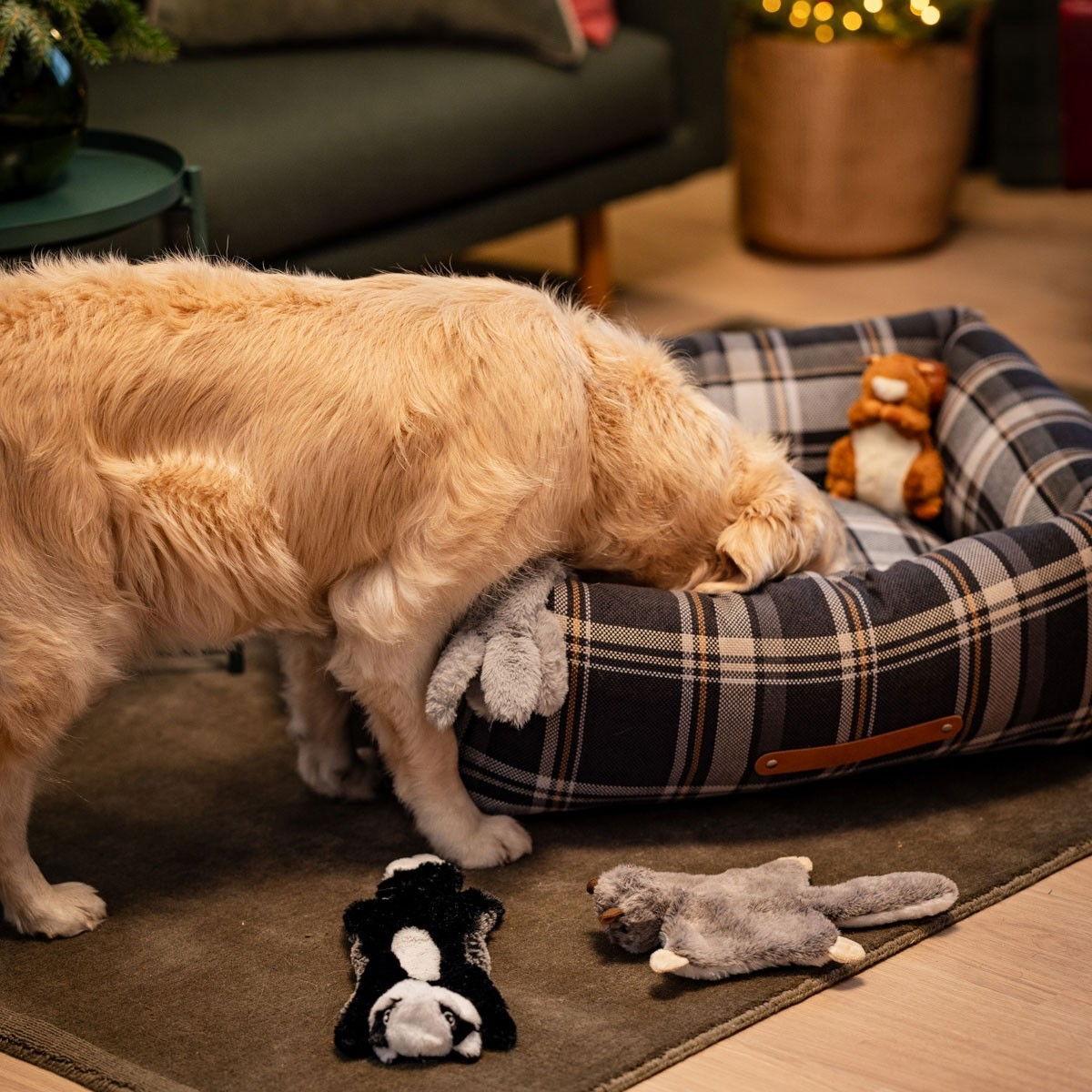 Basic Premium Swift dog bed dark grey tartan 