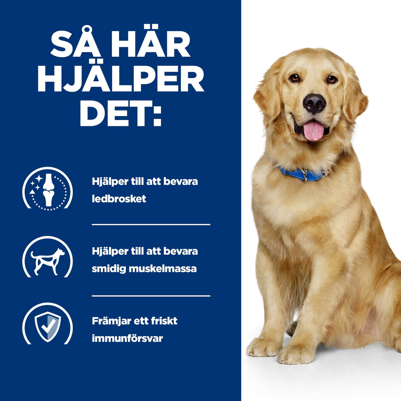 Hills Diet Dog j/d