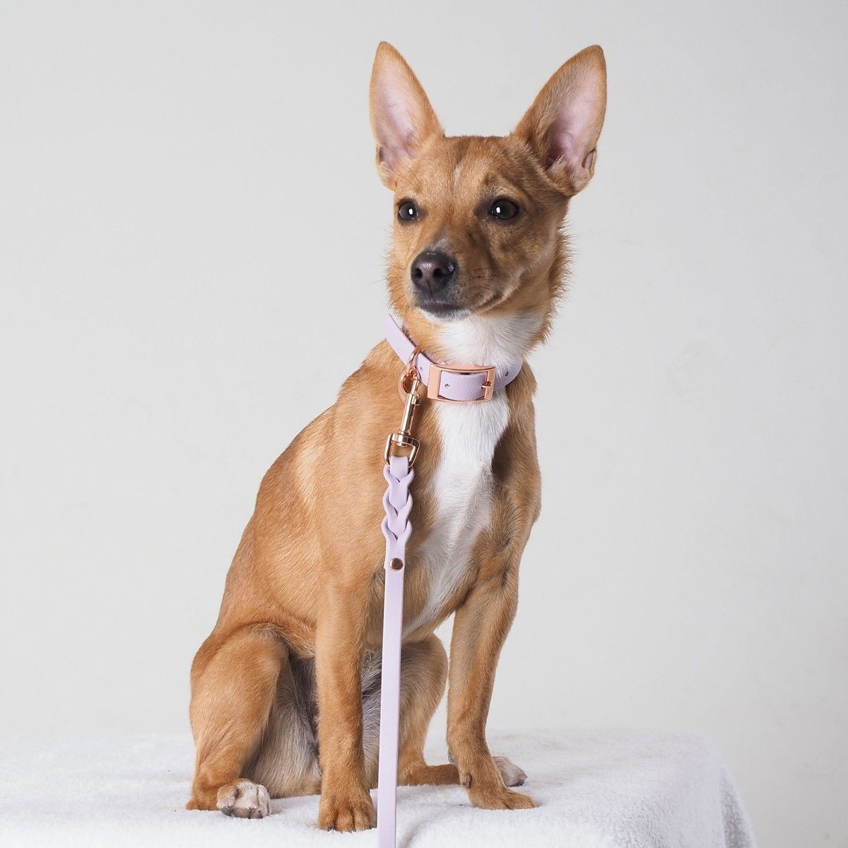 Tyylivoitto Classy narrow collar, lavender
