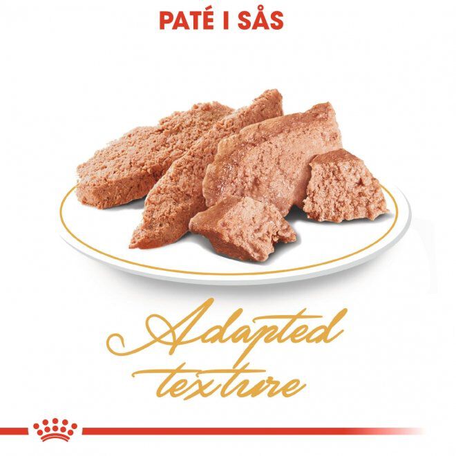 Royal Canin Persian Adult Loaf våtfoder för katt