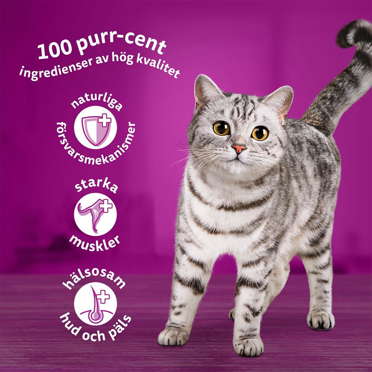 Whiskas 1+ gravy 40x85g