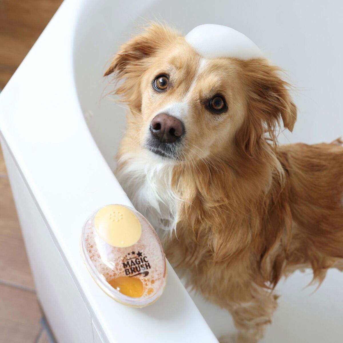 MagicBrush Bathing Brush