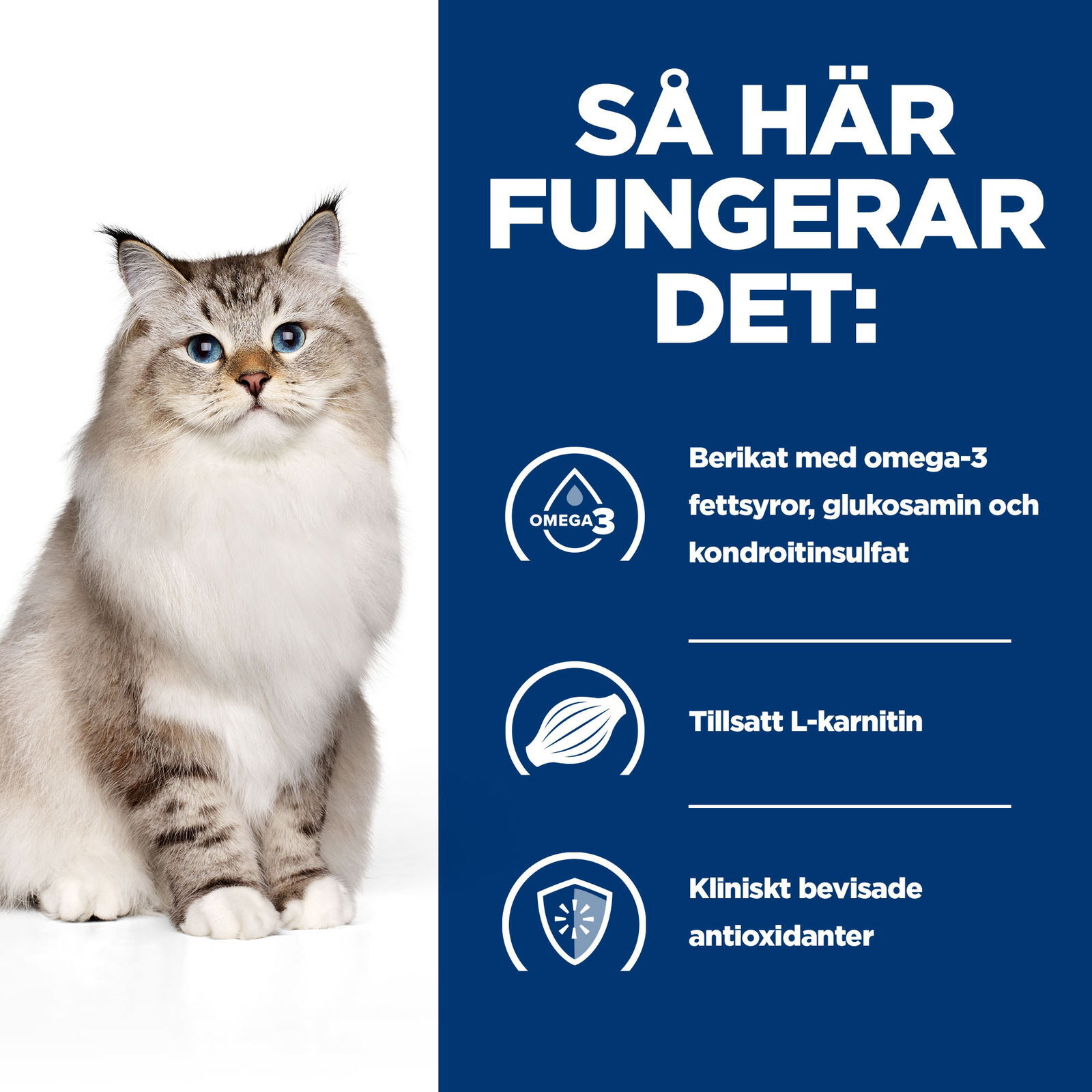 Hills Diet Cat j/d