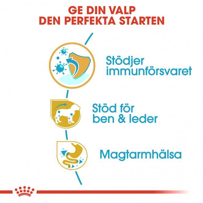 Royal Canin Dachshund Puppy torrfoder för hundvalp