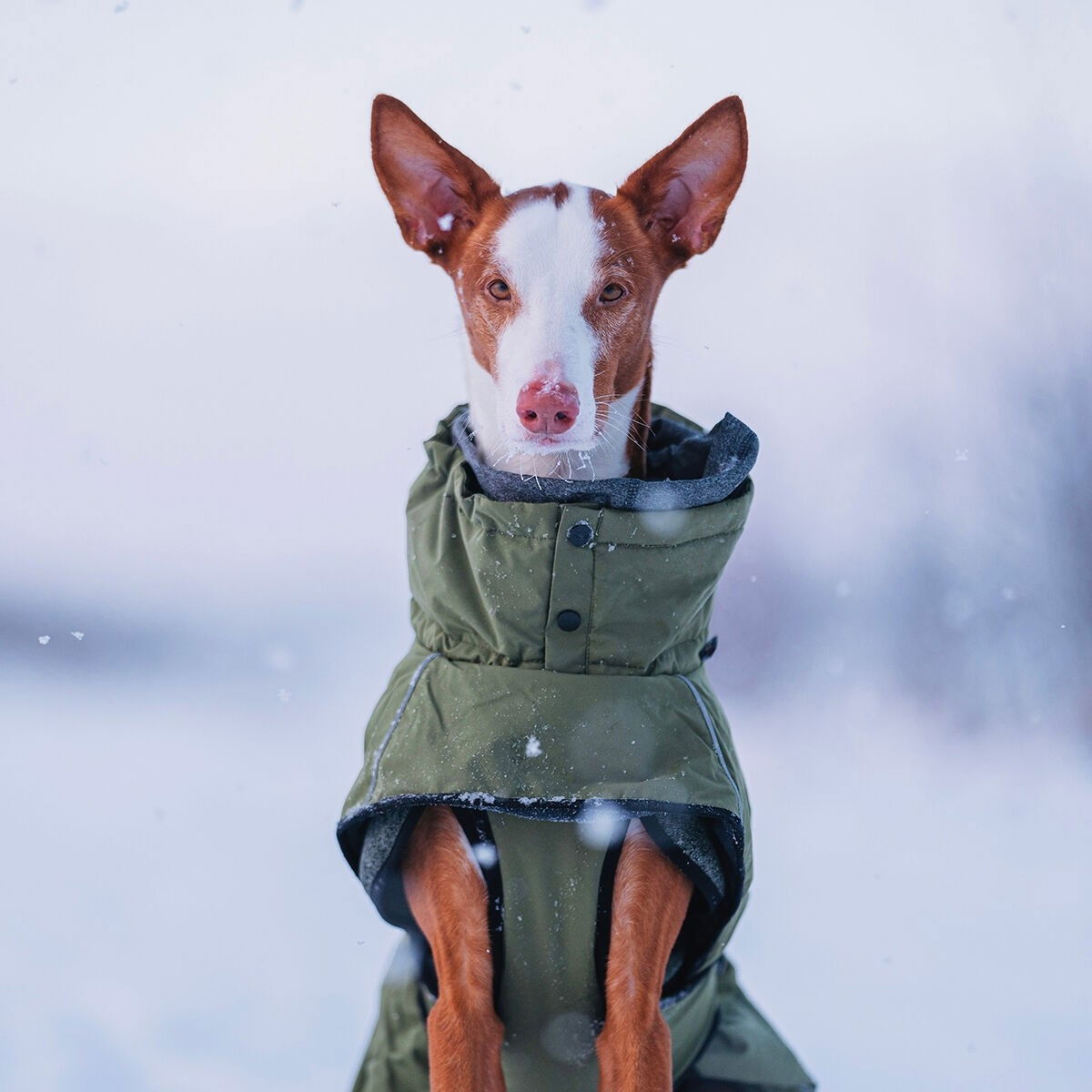 Rukka Warmup 2.0 coat olive