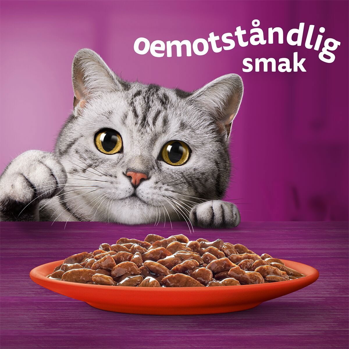 Whiskas 1+ gravy 40x85g
