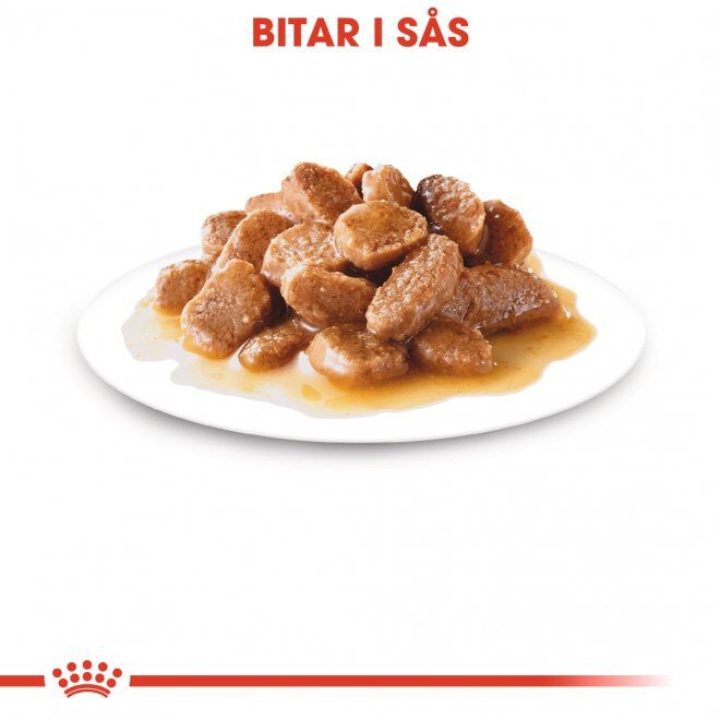 Royal Canin Mini Adult Gravy våtfoder för hund