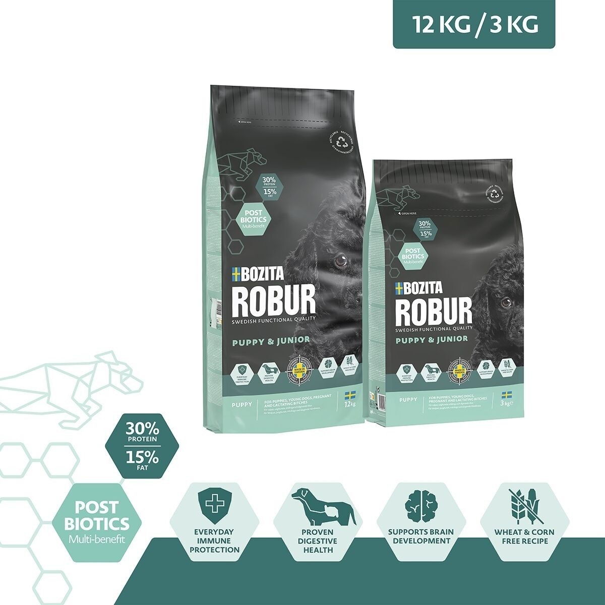 Robur Puppy & Junior