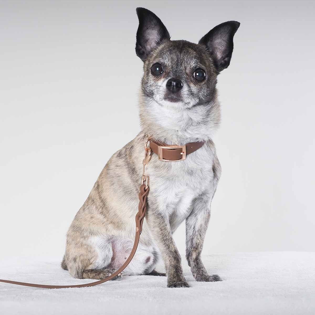 Tyylivoitto Classy narrow collar, brown