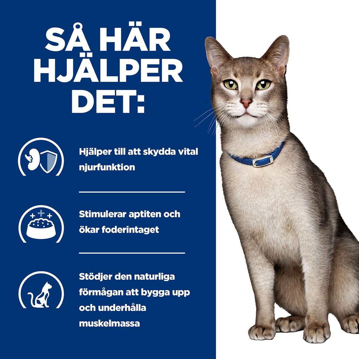 Hill's PD Feline k/d Chicken 156g