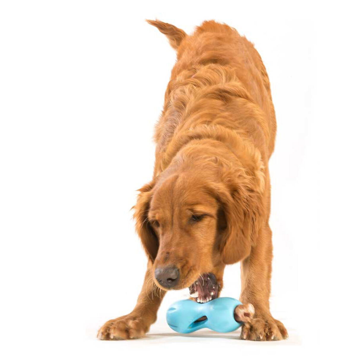 West Paw Qwizl aqua blue