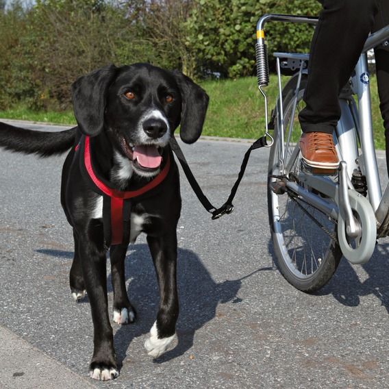 Trixie Biker-Set för cykel