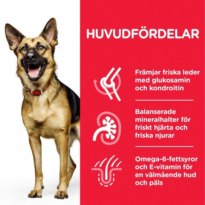 Hill's Science Plan Dog Mature Large Breed Chicken