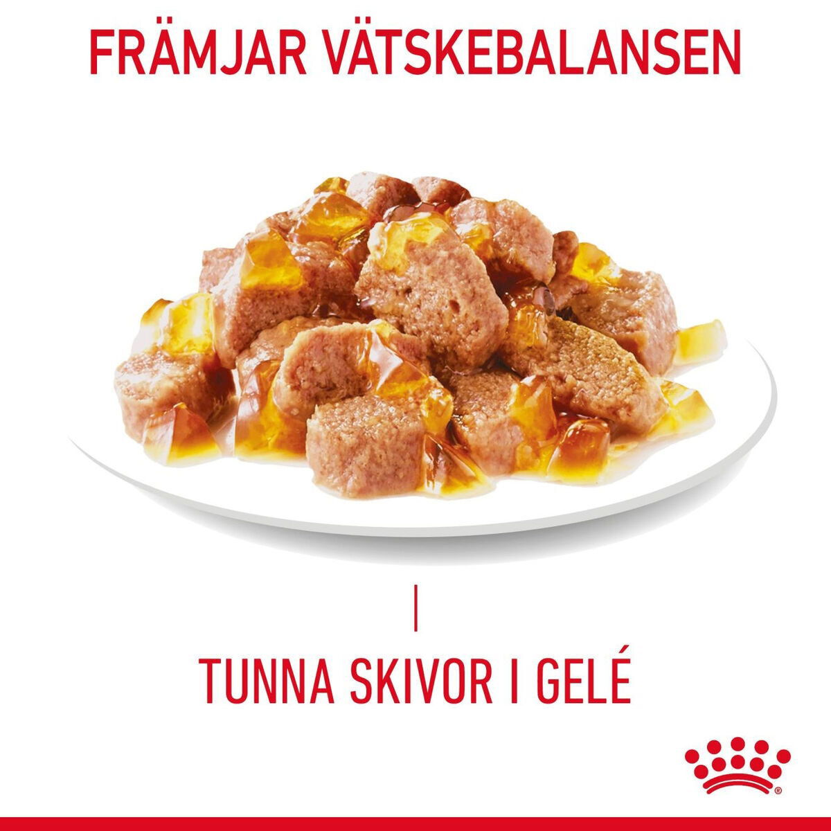 Royal Canin Hair & Skin Care Jelly Adult våtfoder för katt