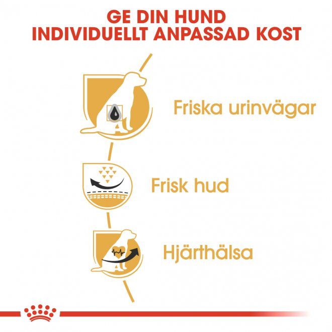 Royal Canin Dalmatian Adult torrfoder för hund