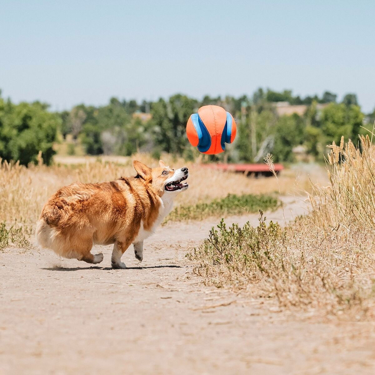 Chuckit Kick Fetch Ball L