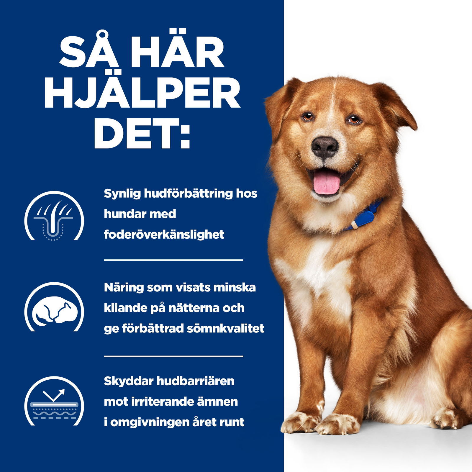 Hill's Diet Dog Derm Complete