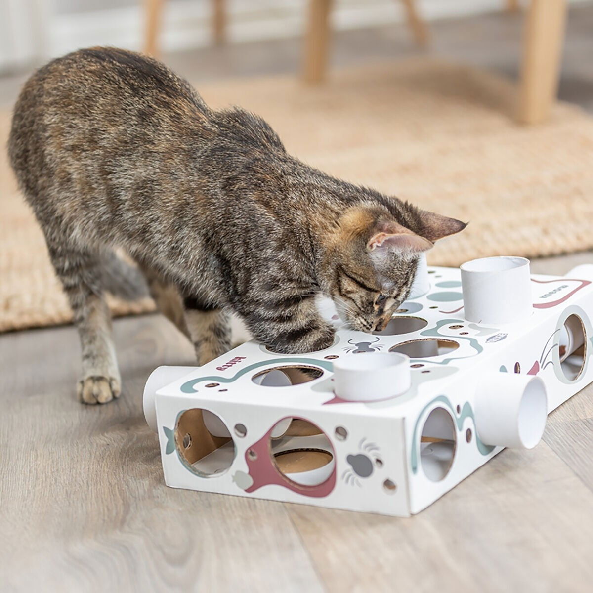 Trixie Cat Activity Paws'n'Treats Box