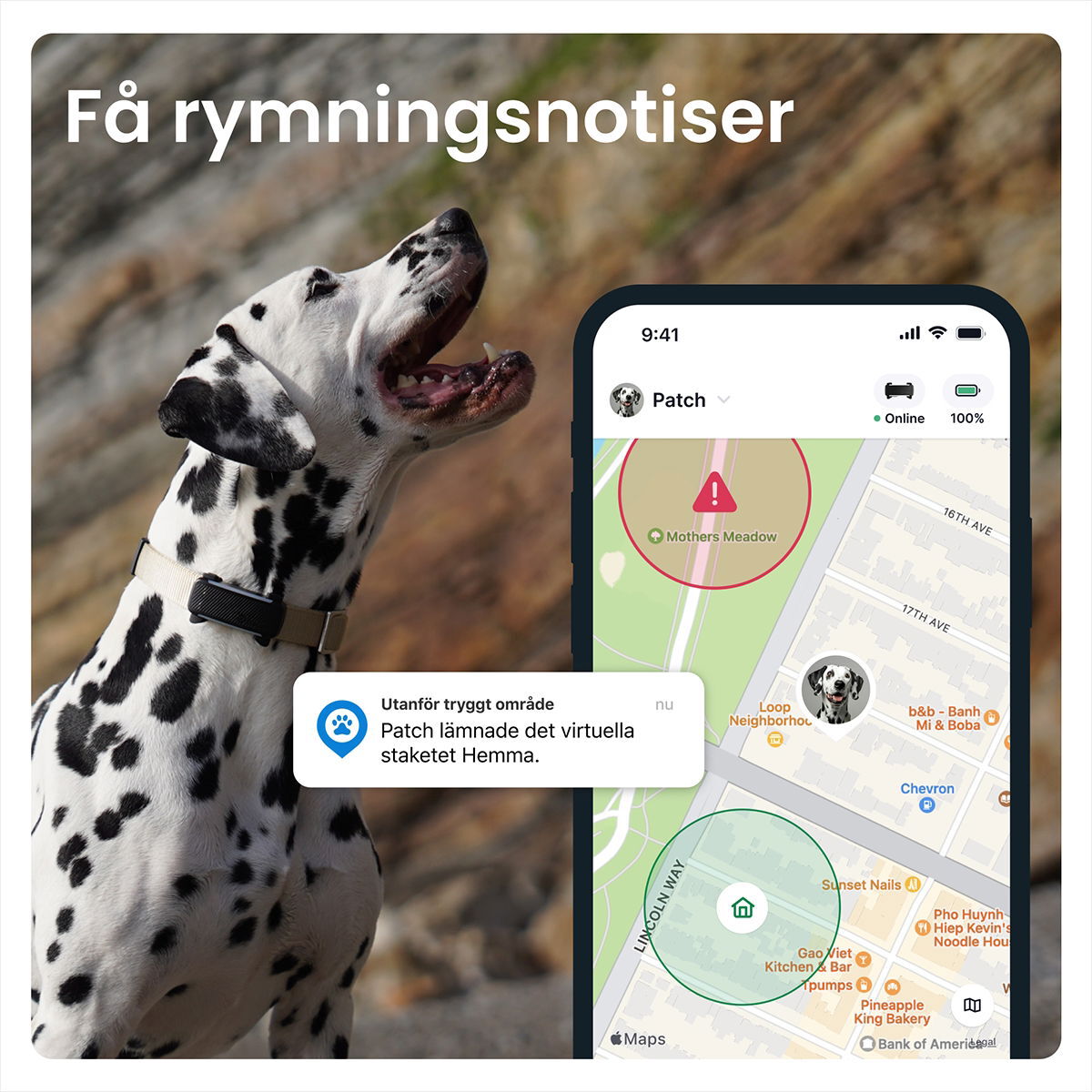 Tractive for DOG 6 tracker