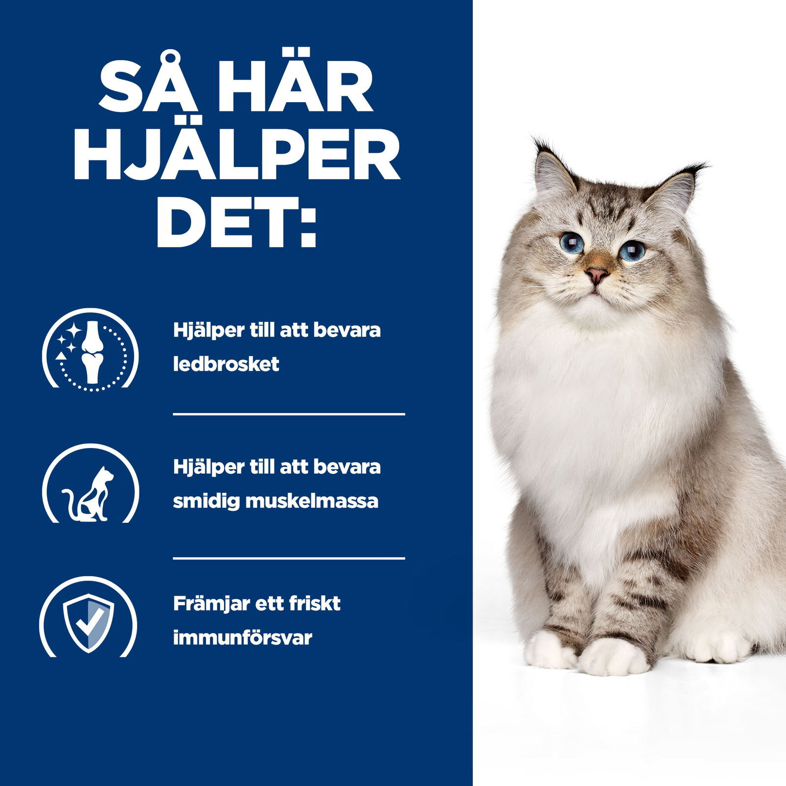 Hills Diet Cat j/d