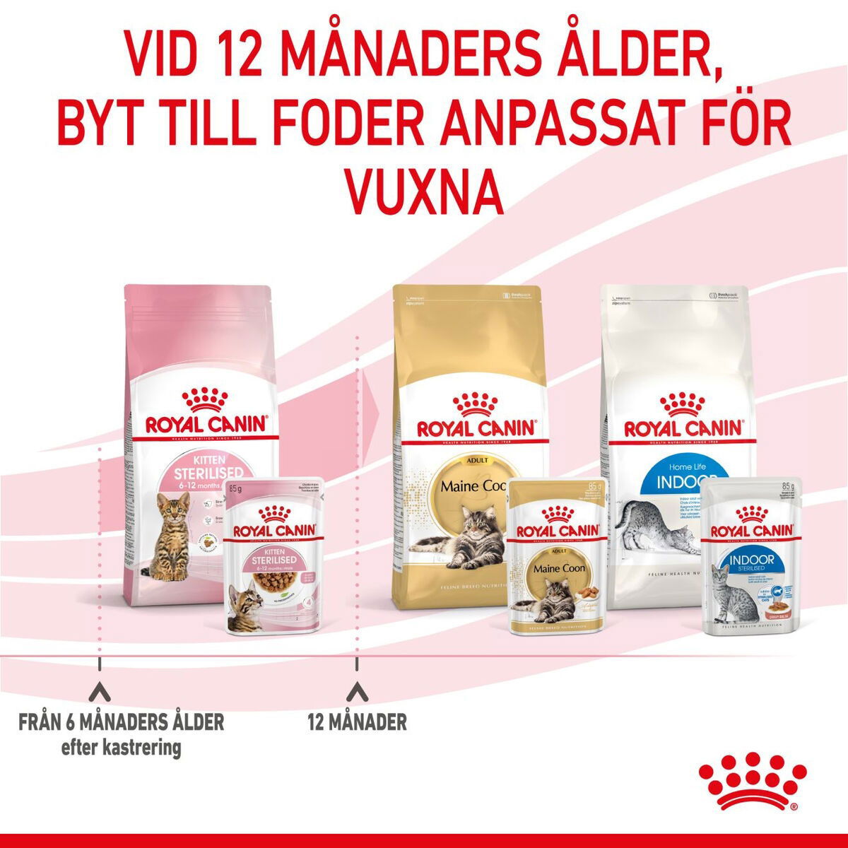 RC FHN Kitten Sterilised Gravy 12x85g