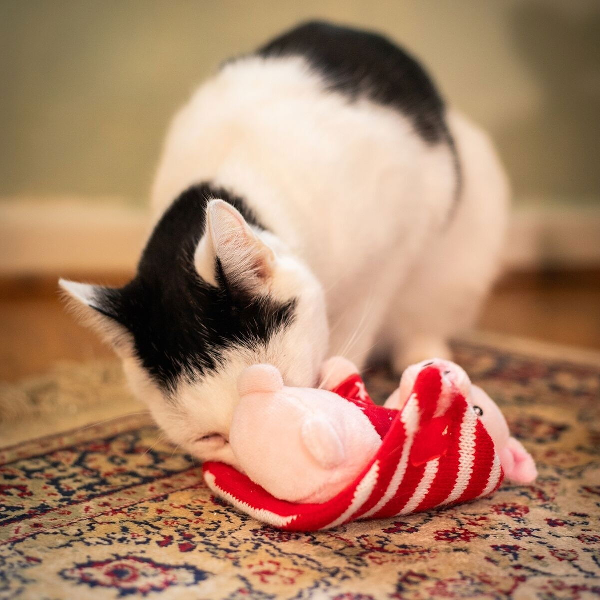 Rosewood Penny Pig in Blanket Toy