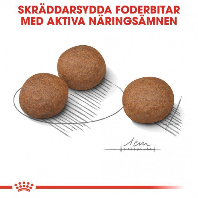 Royal Canin Digestive Care Medium Adult torrfoder för hund
