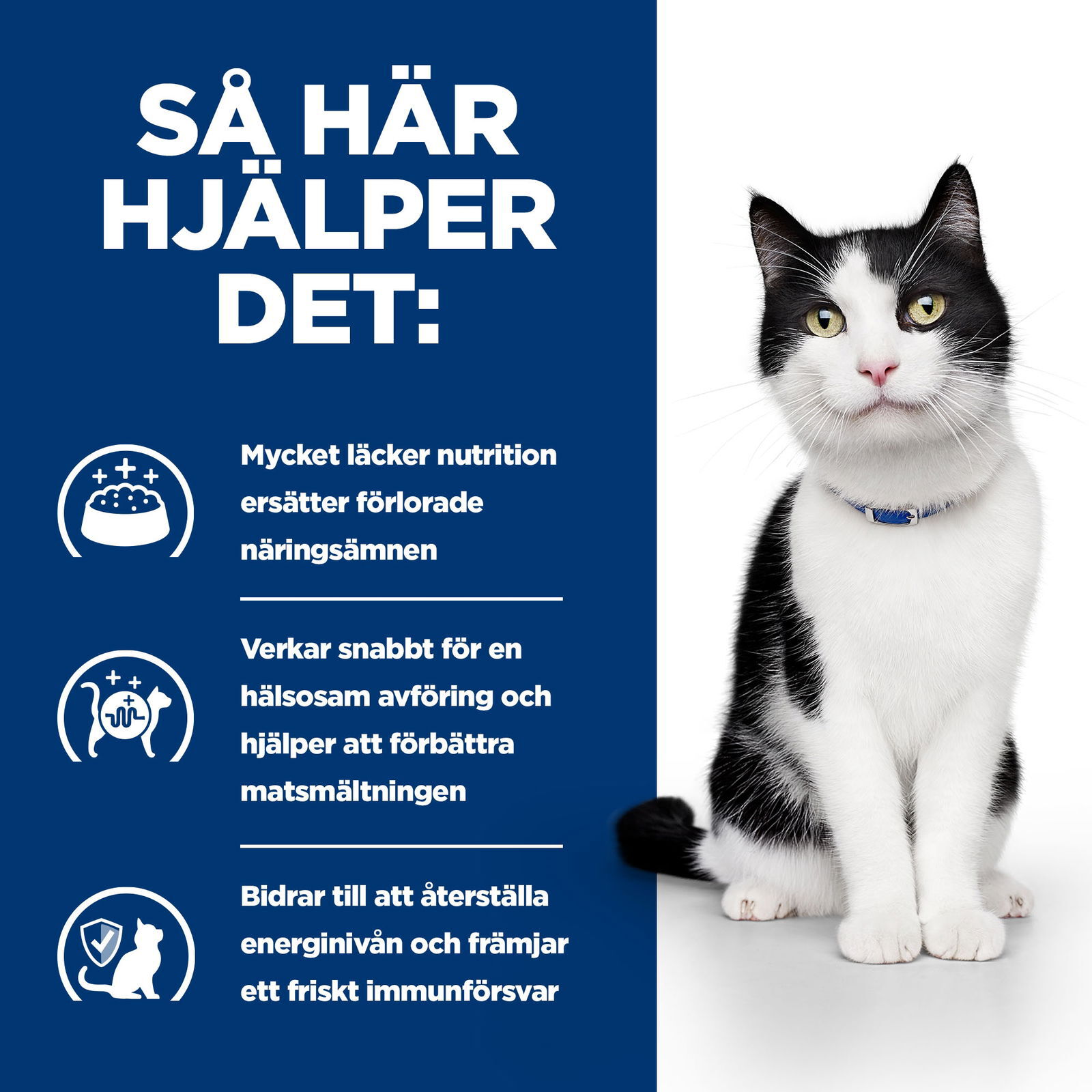 Hill's PRESCRIPTION DIET i/d Kattfoder Kyckling 12x85g