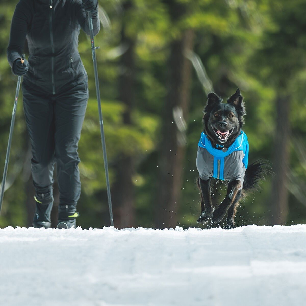 Ruffwear Vert Coverall Blue Pool