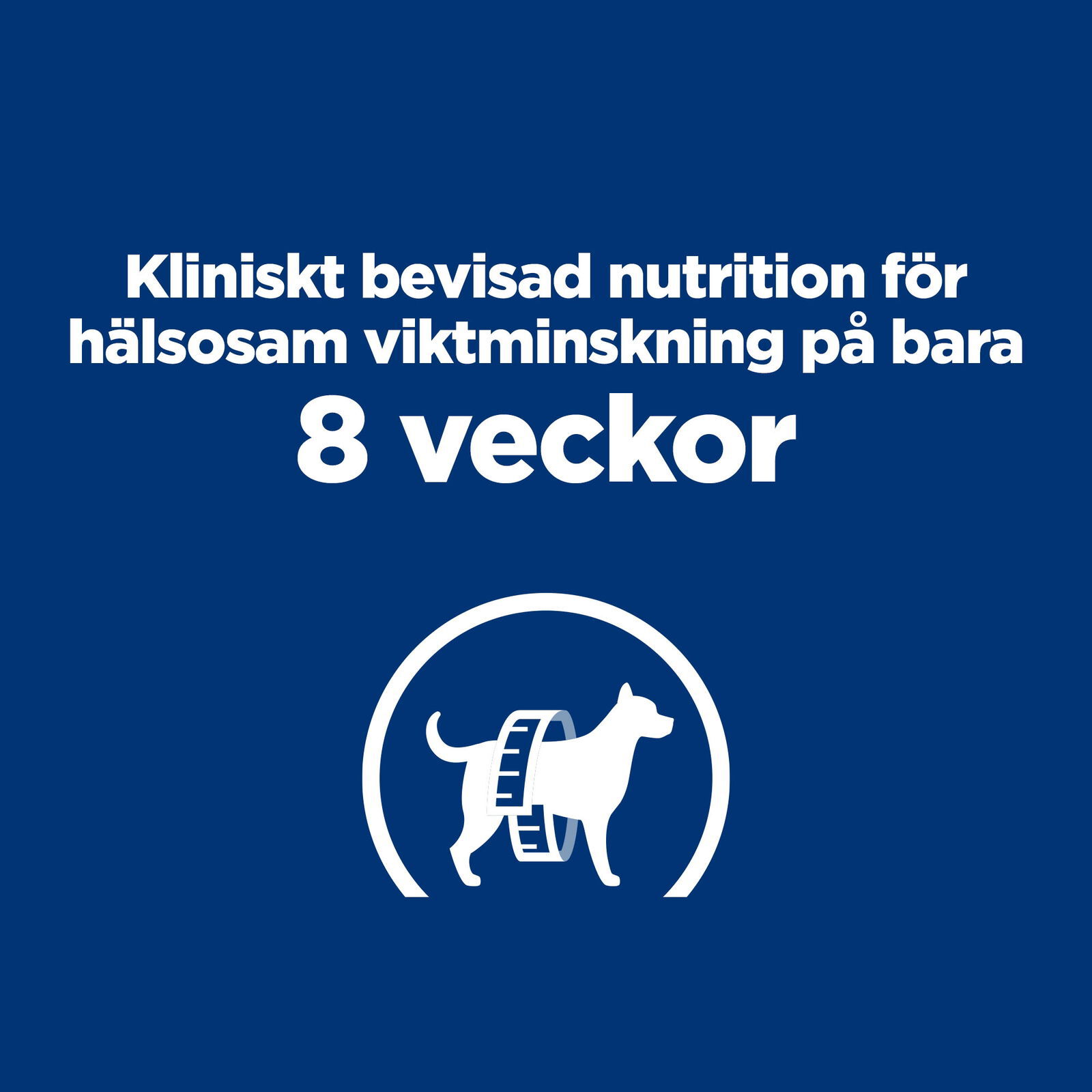 Hills Diet Dog r/d