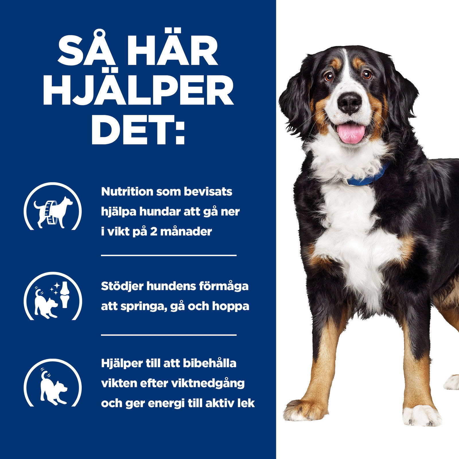 Hills Diet Dog Metabolic + Mobility 12kg