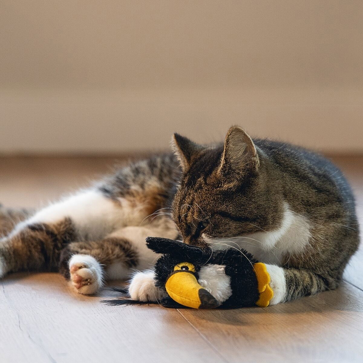 Beeztees Jungle Cat Toucan Kanoe 