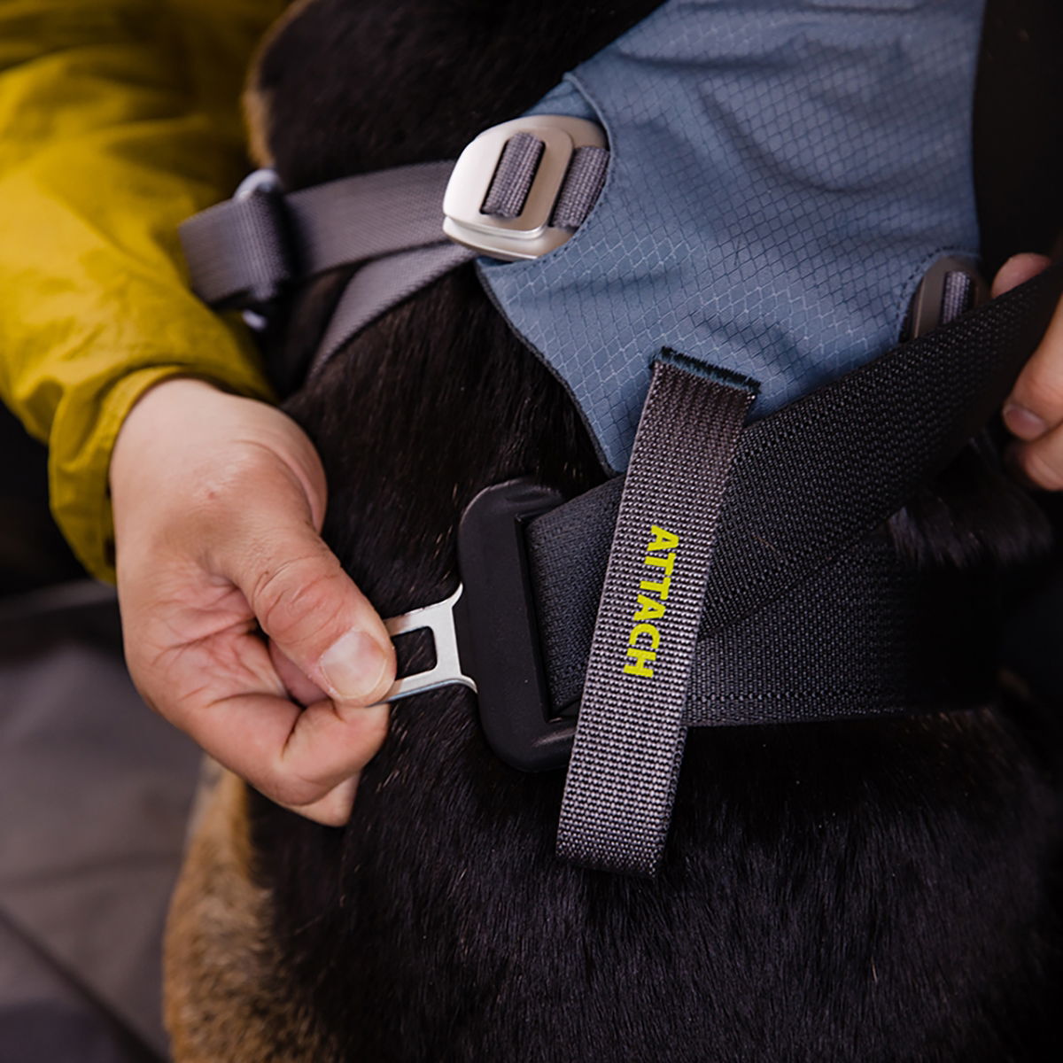 Ruffwear Load Up Harness Slate Blue