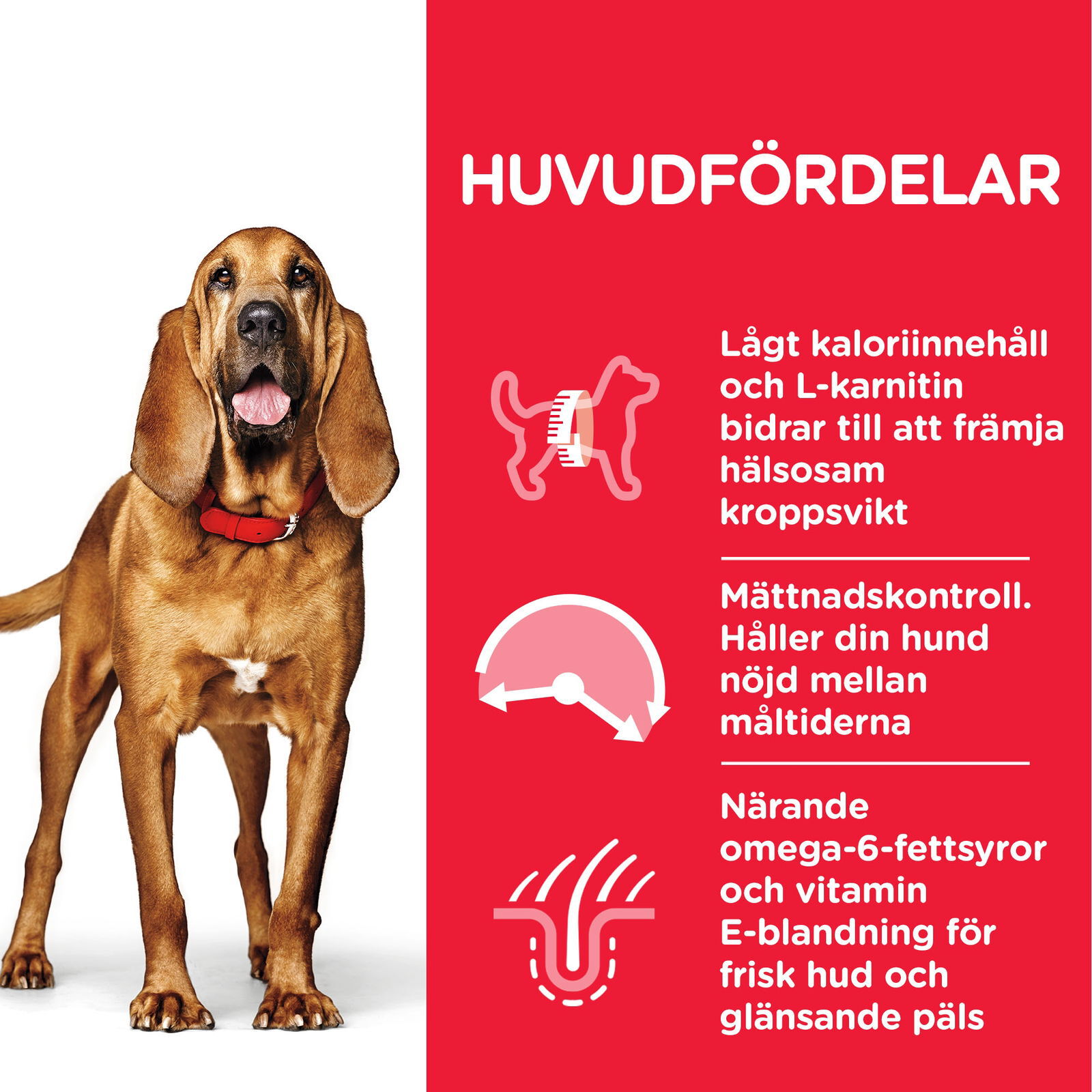 Hill's Science Plan Canine Mature Light Medium Chicken 