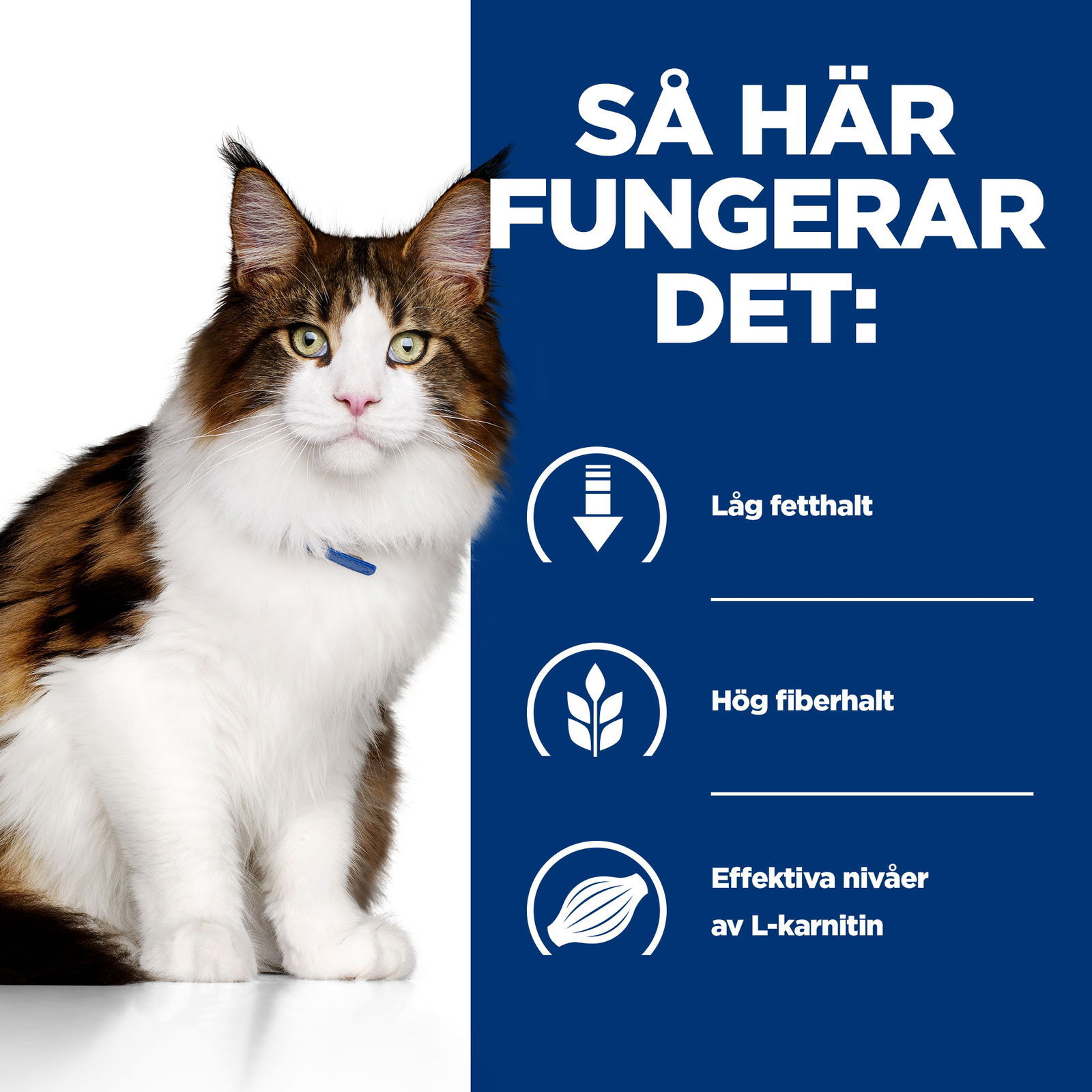 Hill's Diet Cat w/d Minced can 156 g