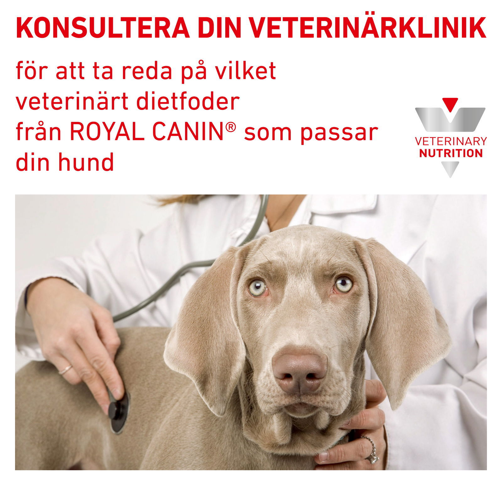 Royal Canin Veterinary Diets Derma Sensitivity Control Chicken Can våtfoder för hund