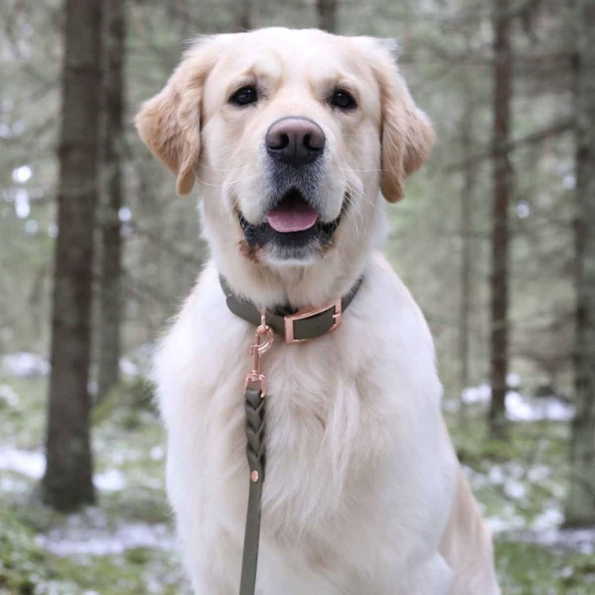 Tyylivoitto Classy collar olive