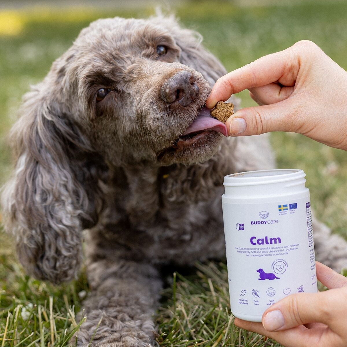 BuddyCare Calm 150g