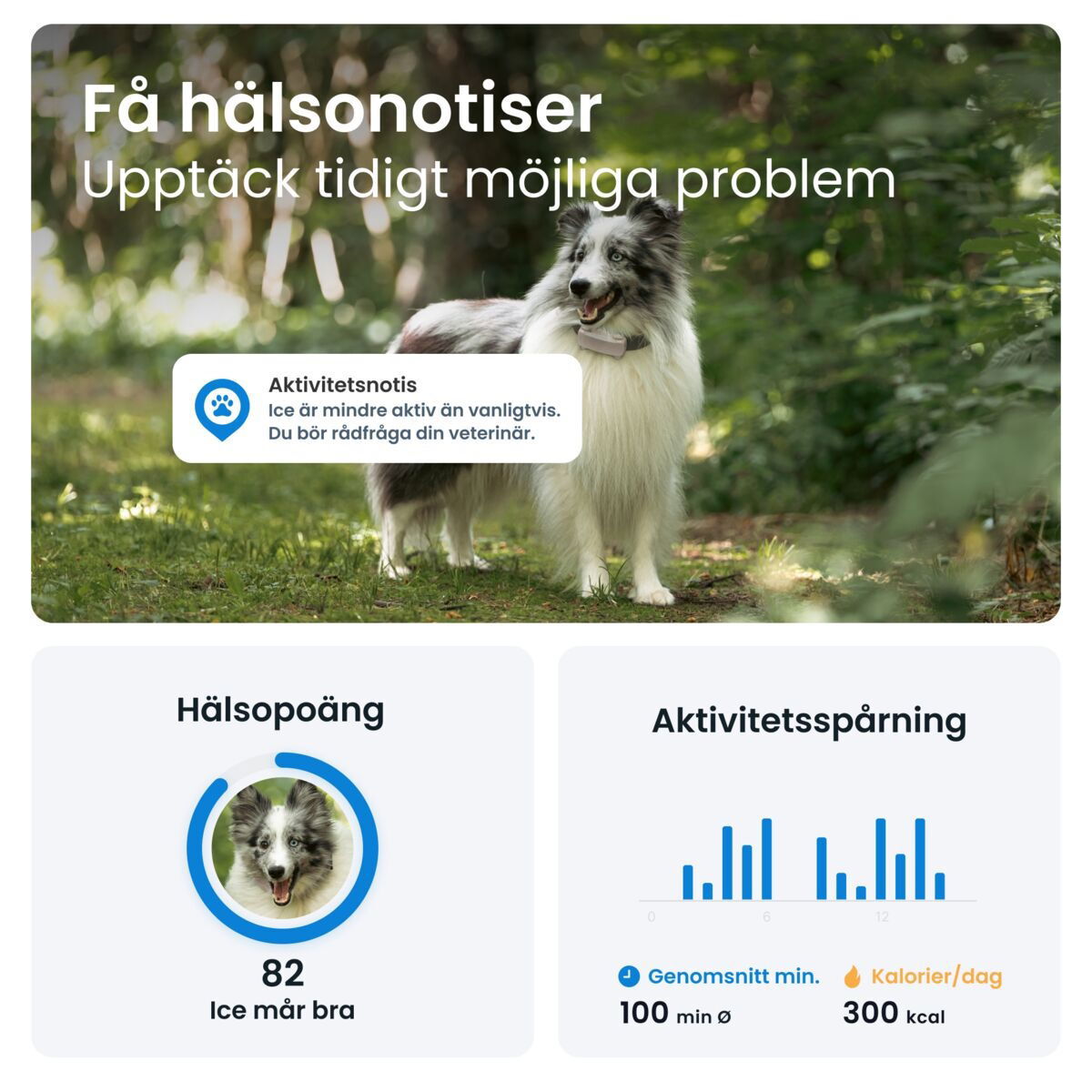 Tractive for DOG 6 tracker