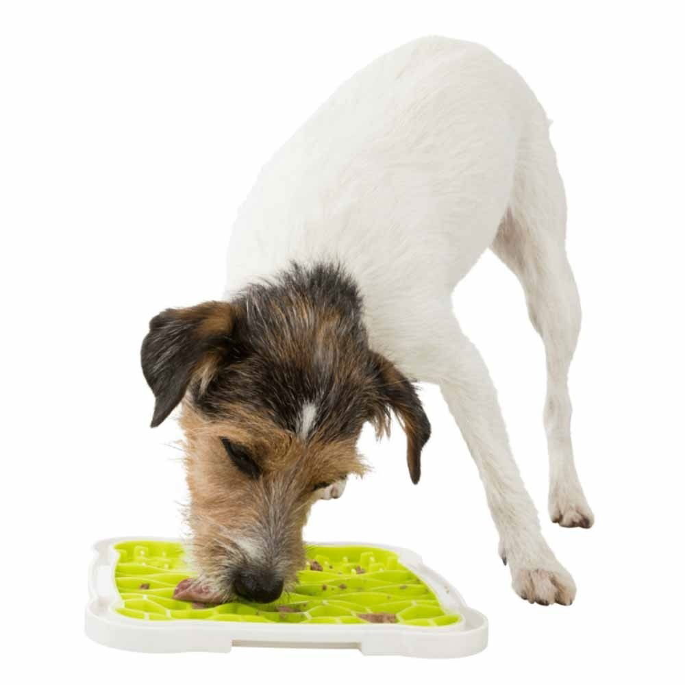 Lick'n'Snack plate, TPR/PP