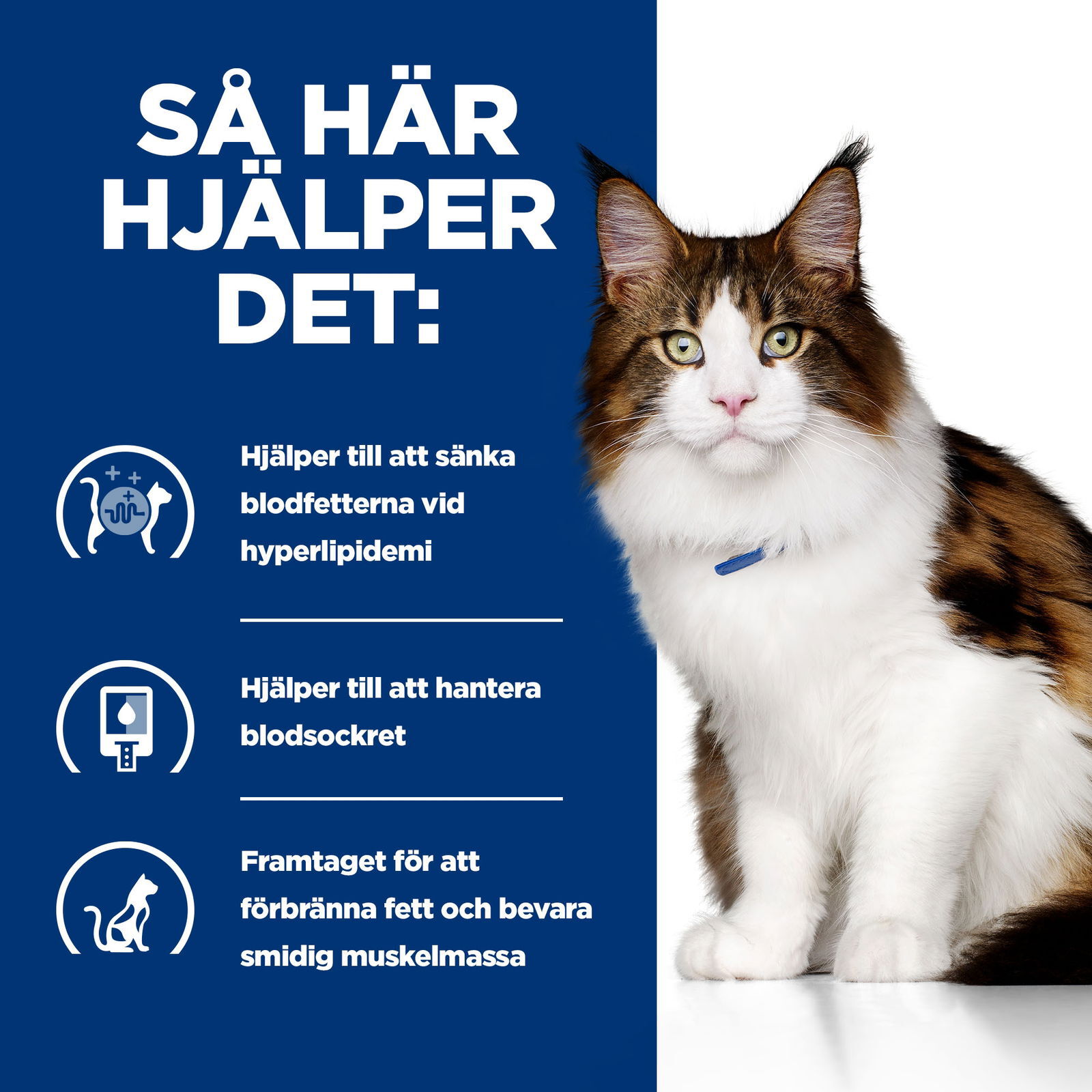 Hills Diet Cat w/d 1,5kg