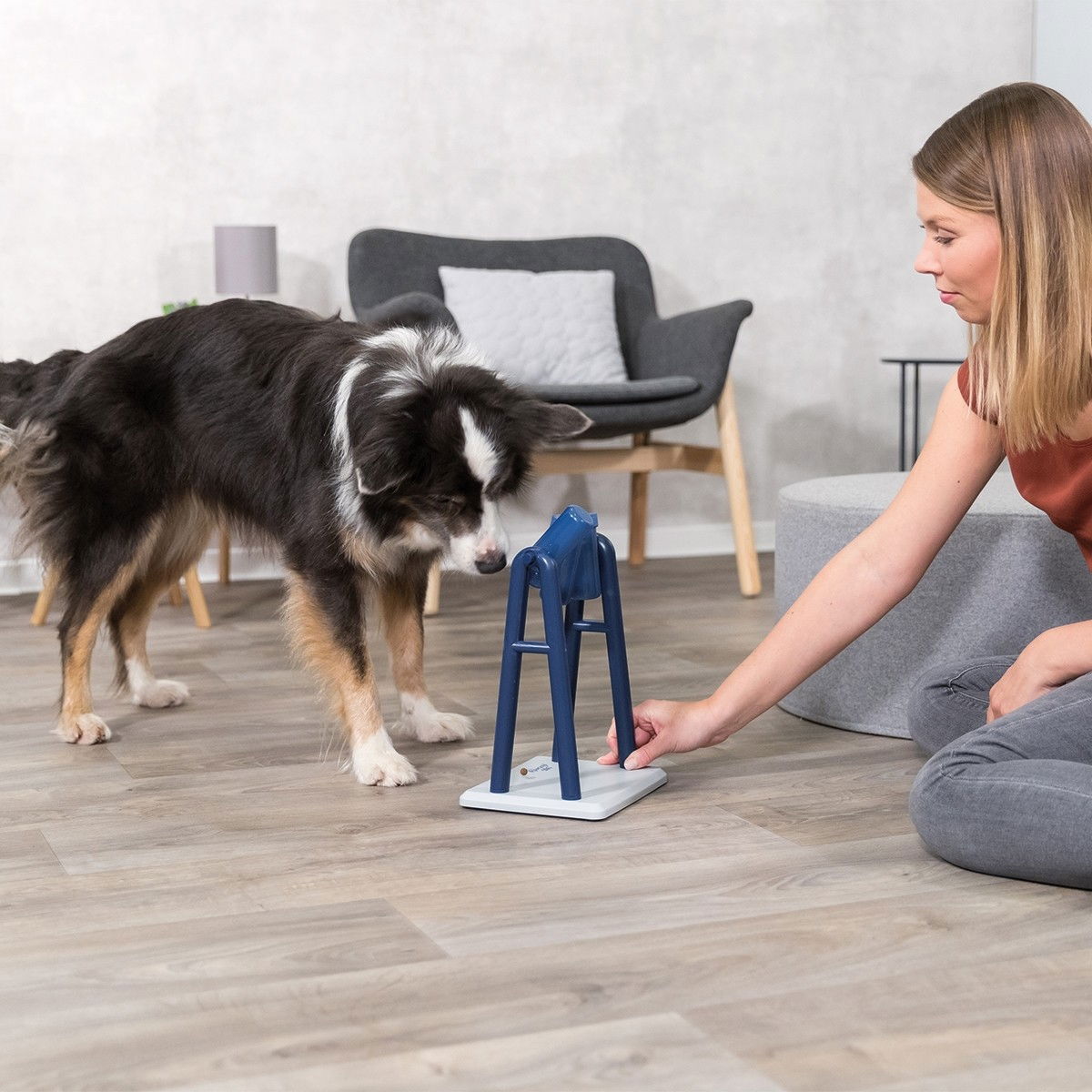 Trixie Hund Aktivitetspel Turn Around 22x33x18