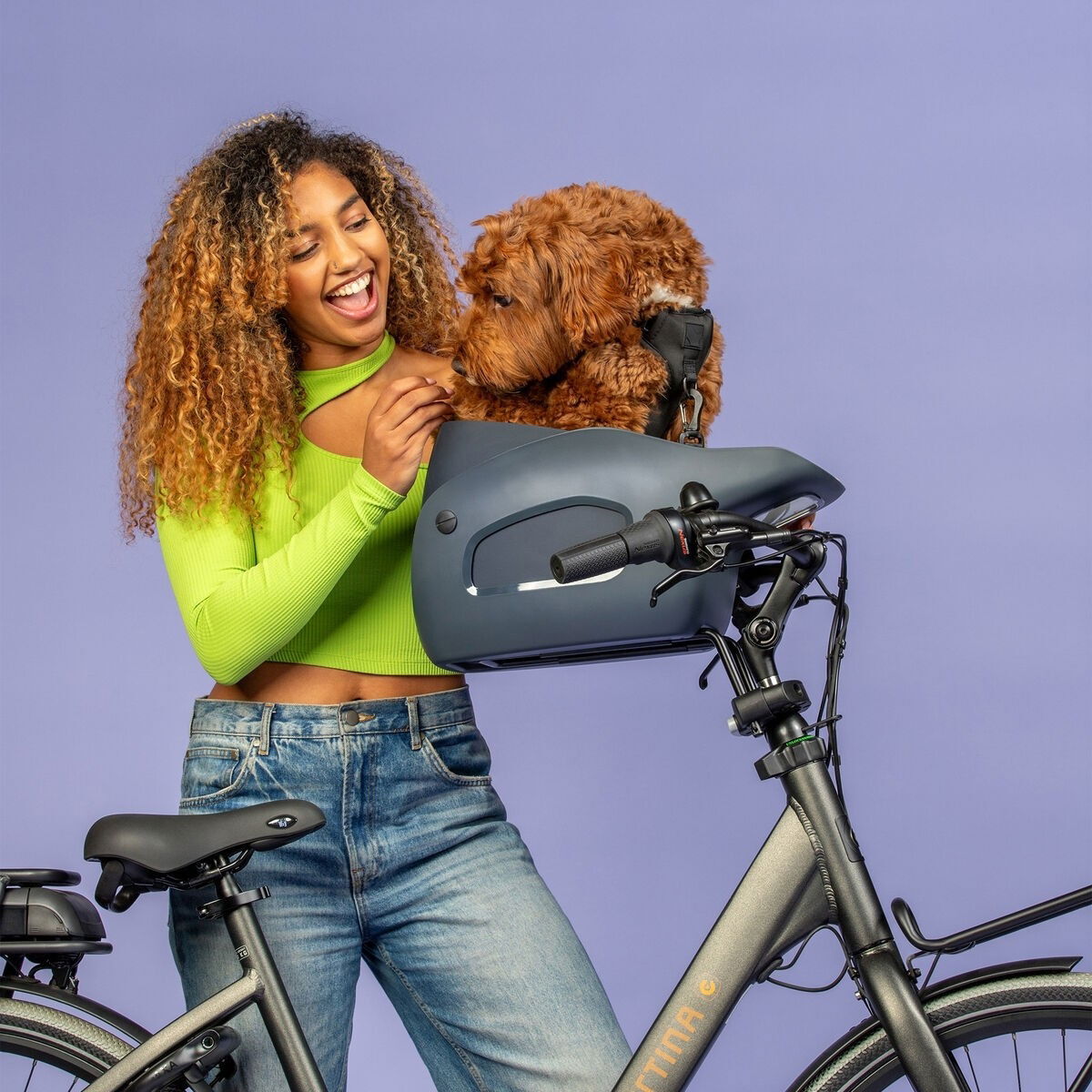 Kvisp bicycle basket with travel harness midnight grey